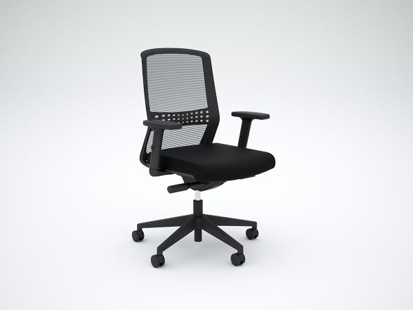 Motion Sync Chair with Lumbar and Armrests
